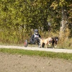 Dog-Cart Rennen Barz Open 2010