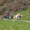 Dog-Cart Rennen Weinfelden 2010