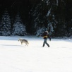 Winterspaziergang im Jura