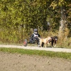 Dog-Cart mit Koda & Juca